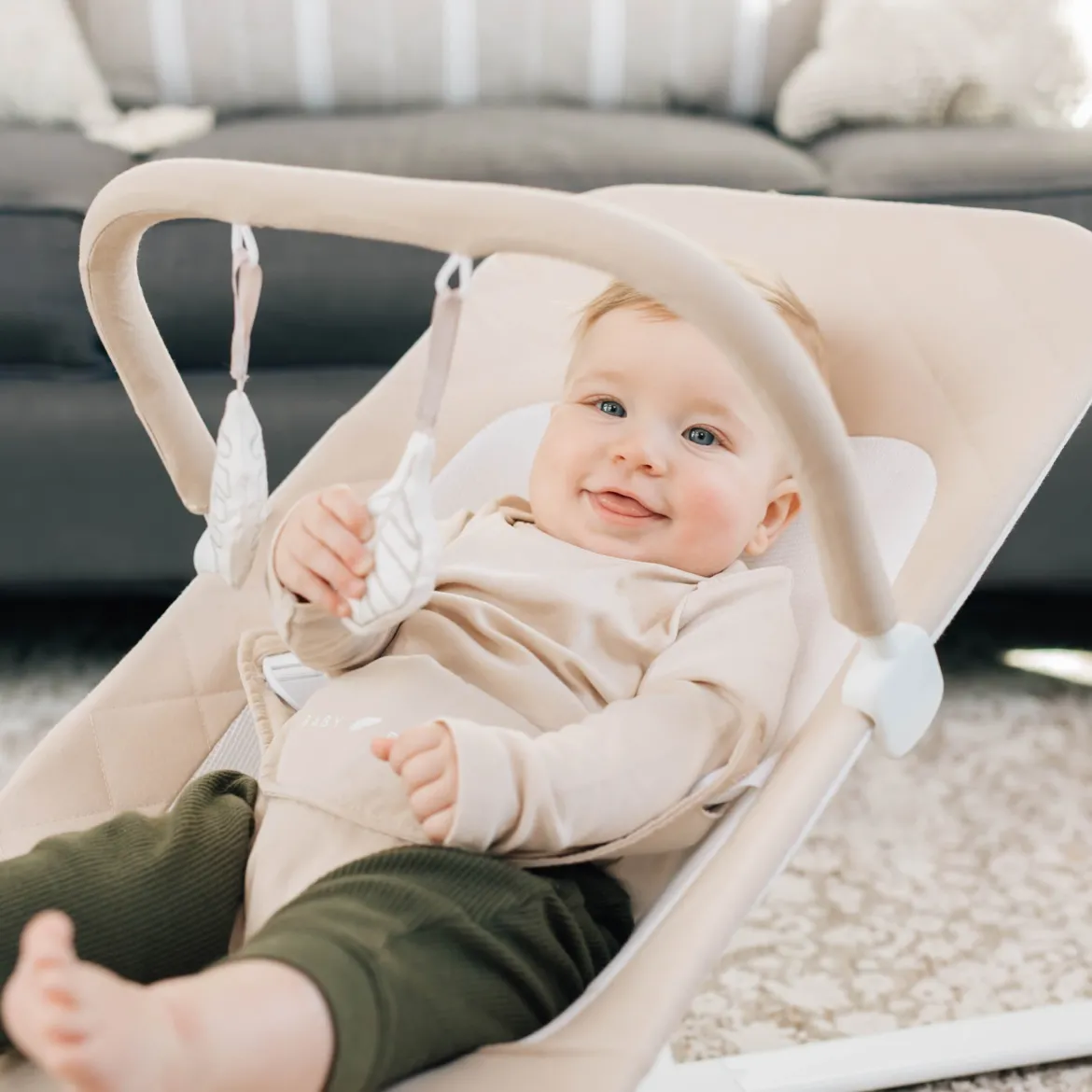 Alpine Deluxe Portable Bouncer