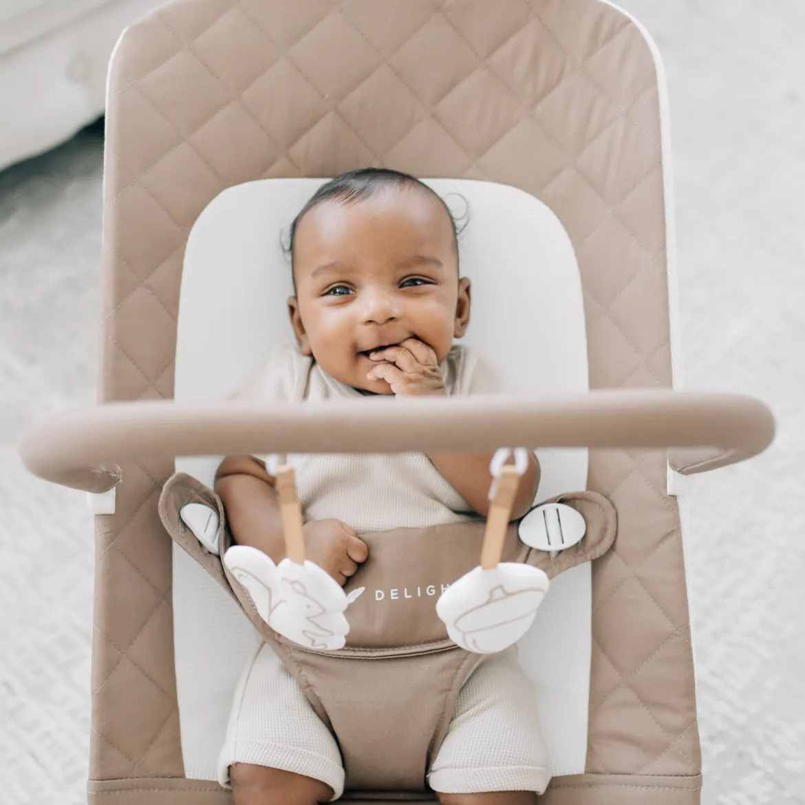 Alpine Deluxe Portable Bouncer