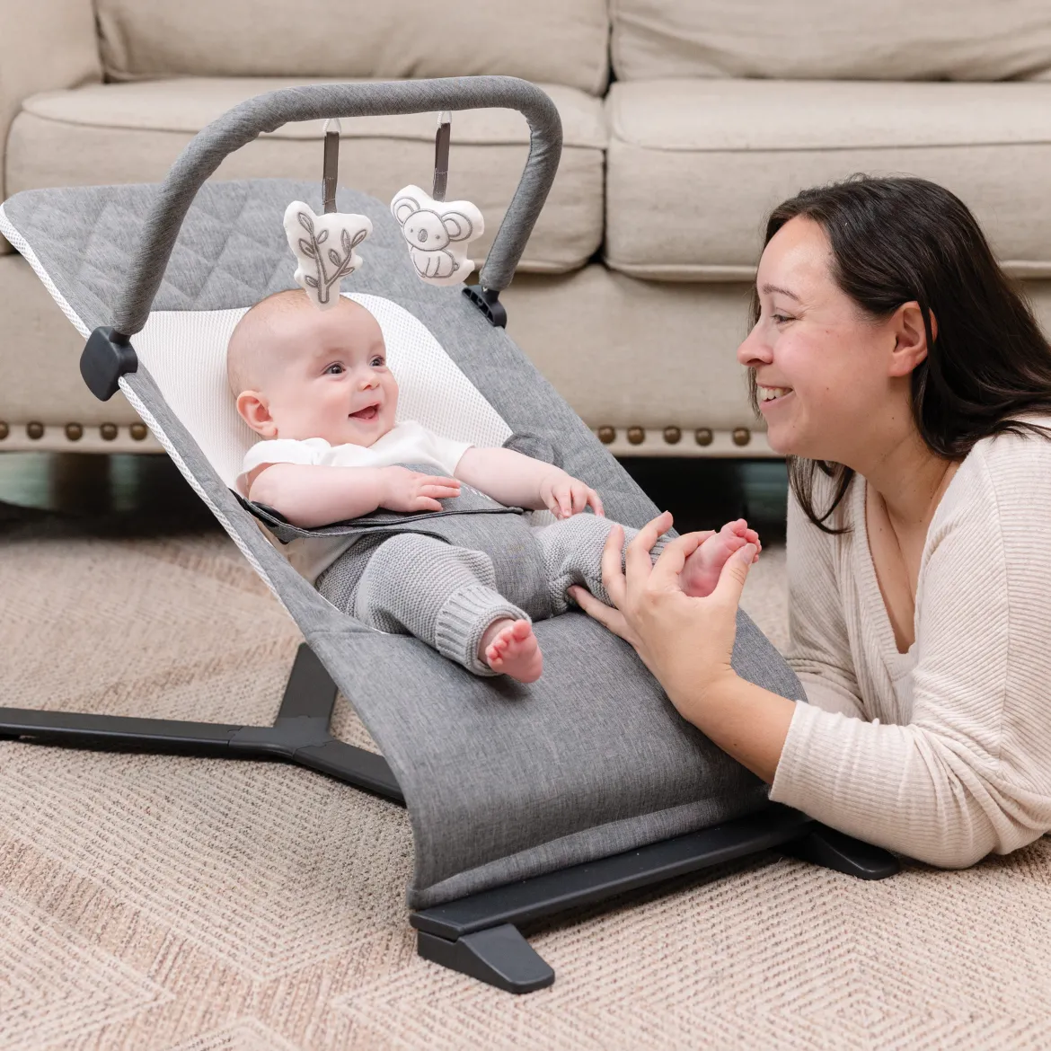 Alpine Deluxe Portable Bouncer