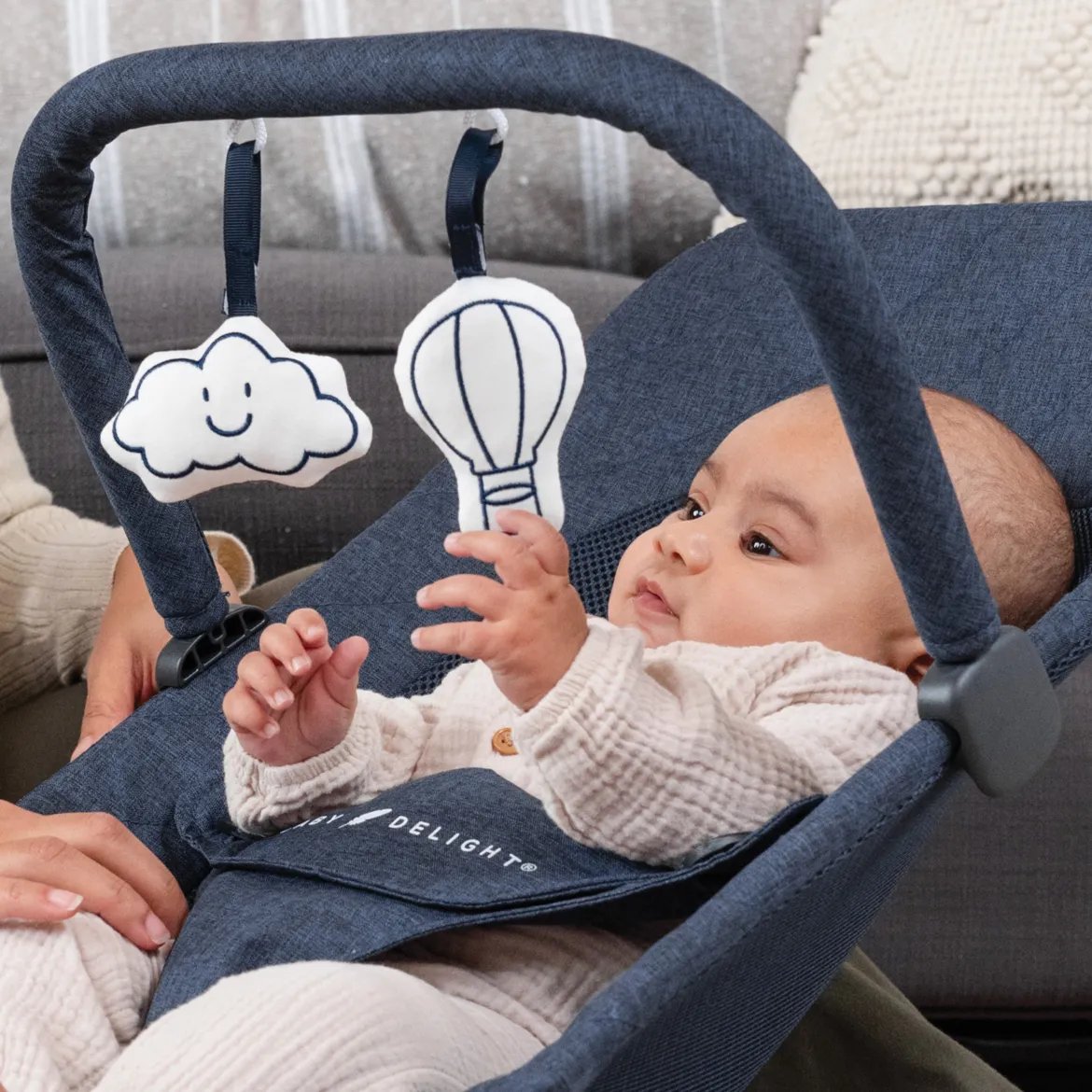 Alpine Deluxe Portable Bouncer