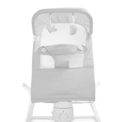 Alpine Wave Deluxe Bouncer