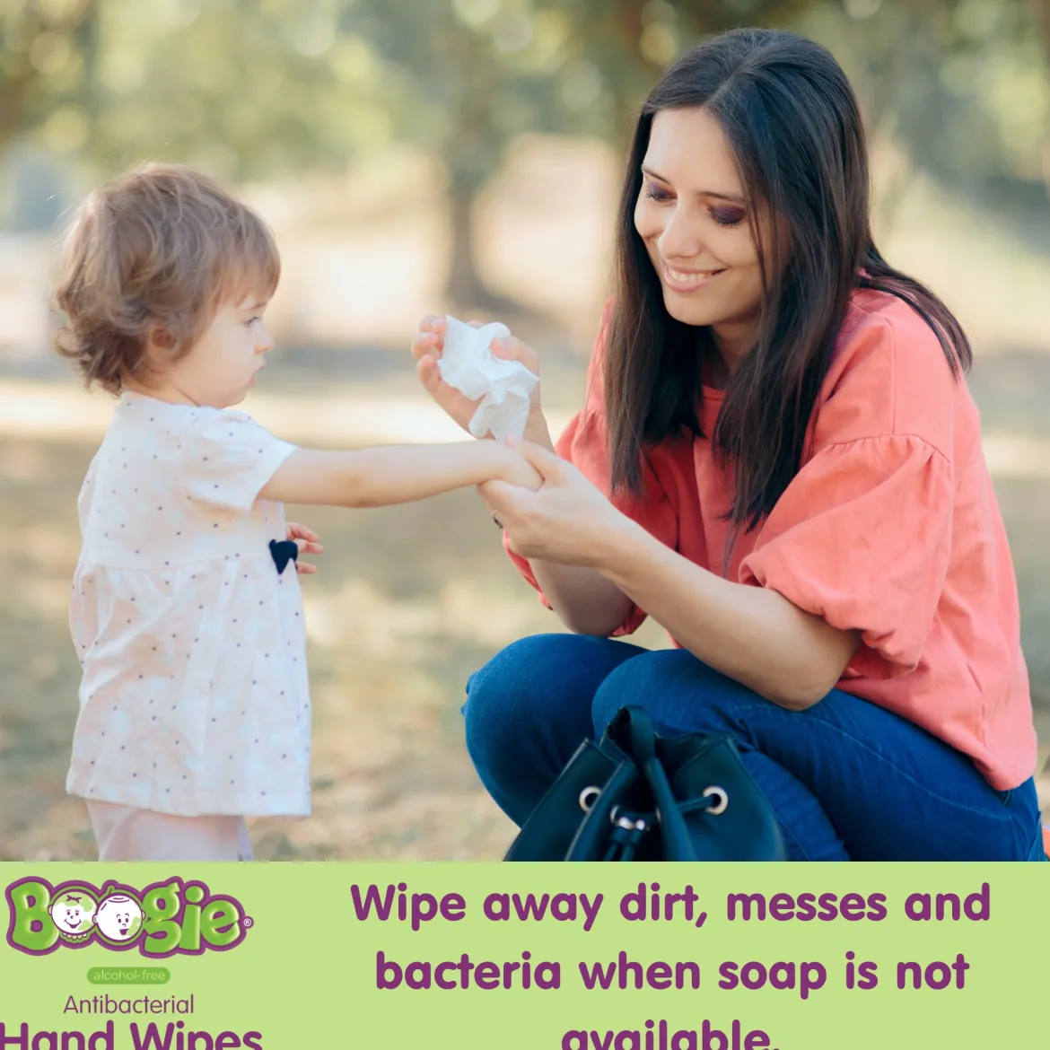 Antibacterial Hand Wipes (5 Pack)