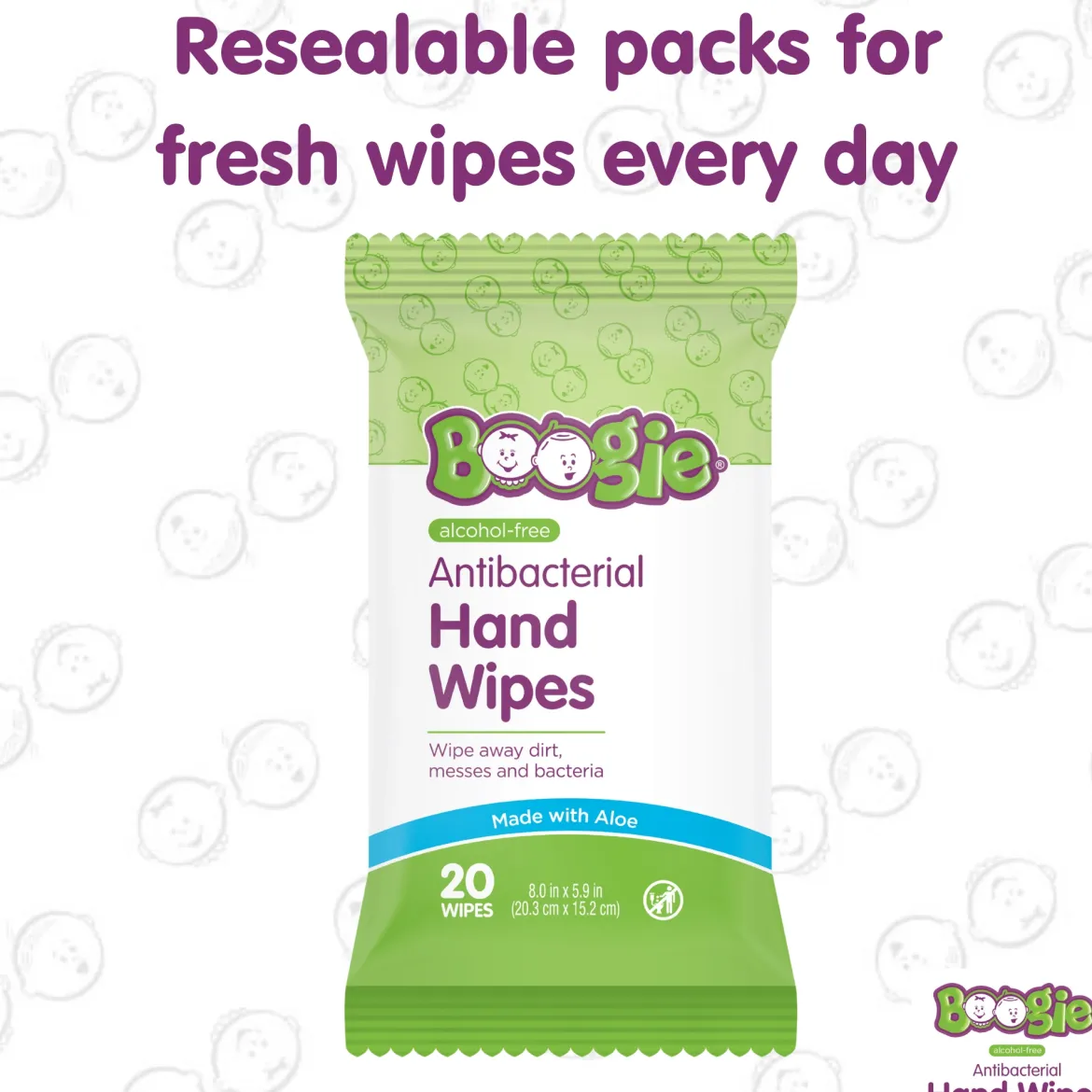 Antibacterial Hand Wipes (5 Pack)