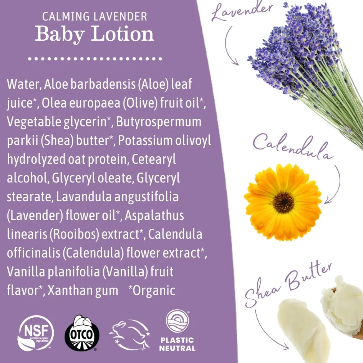 Baby Lotion