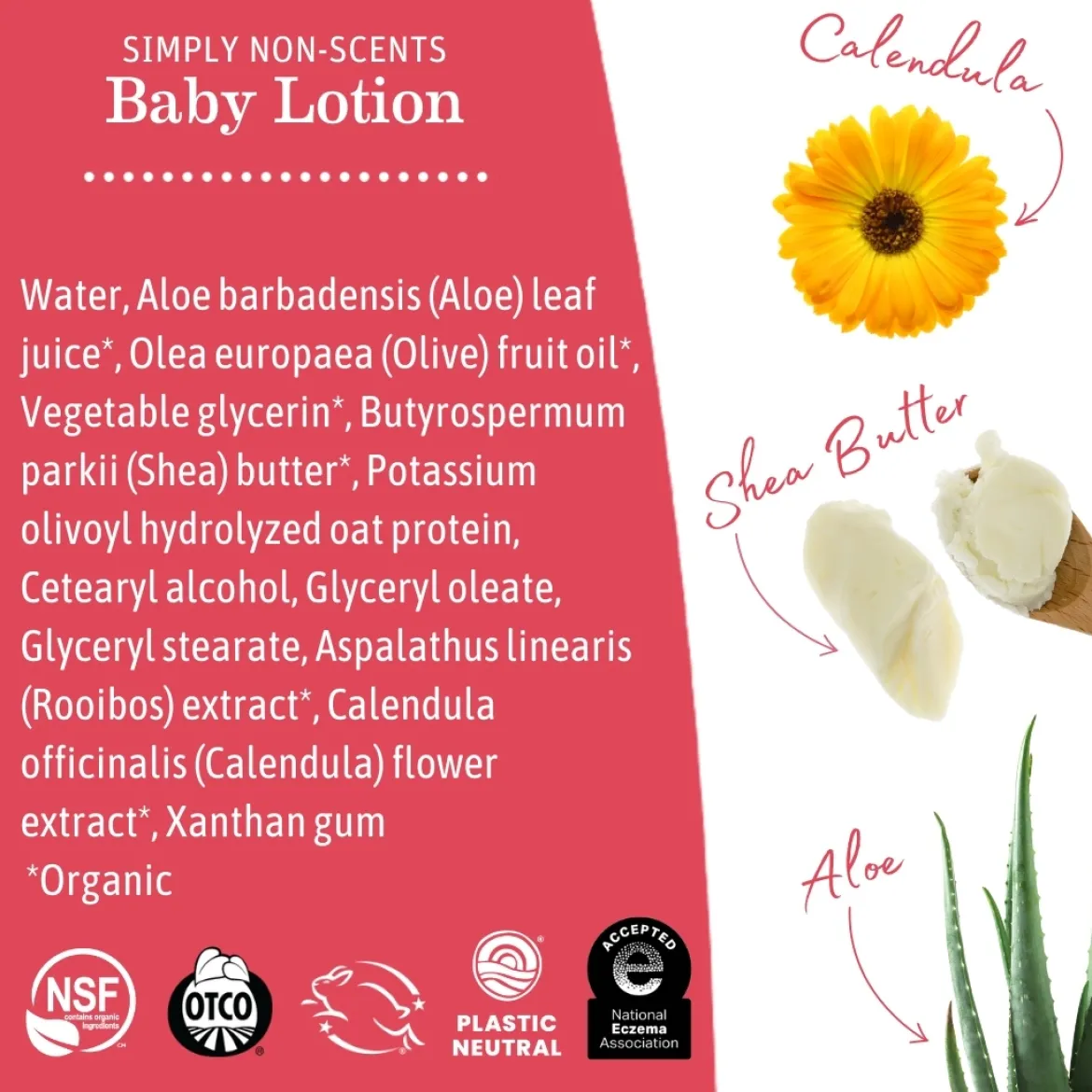 Baby Lotion