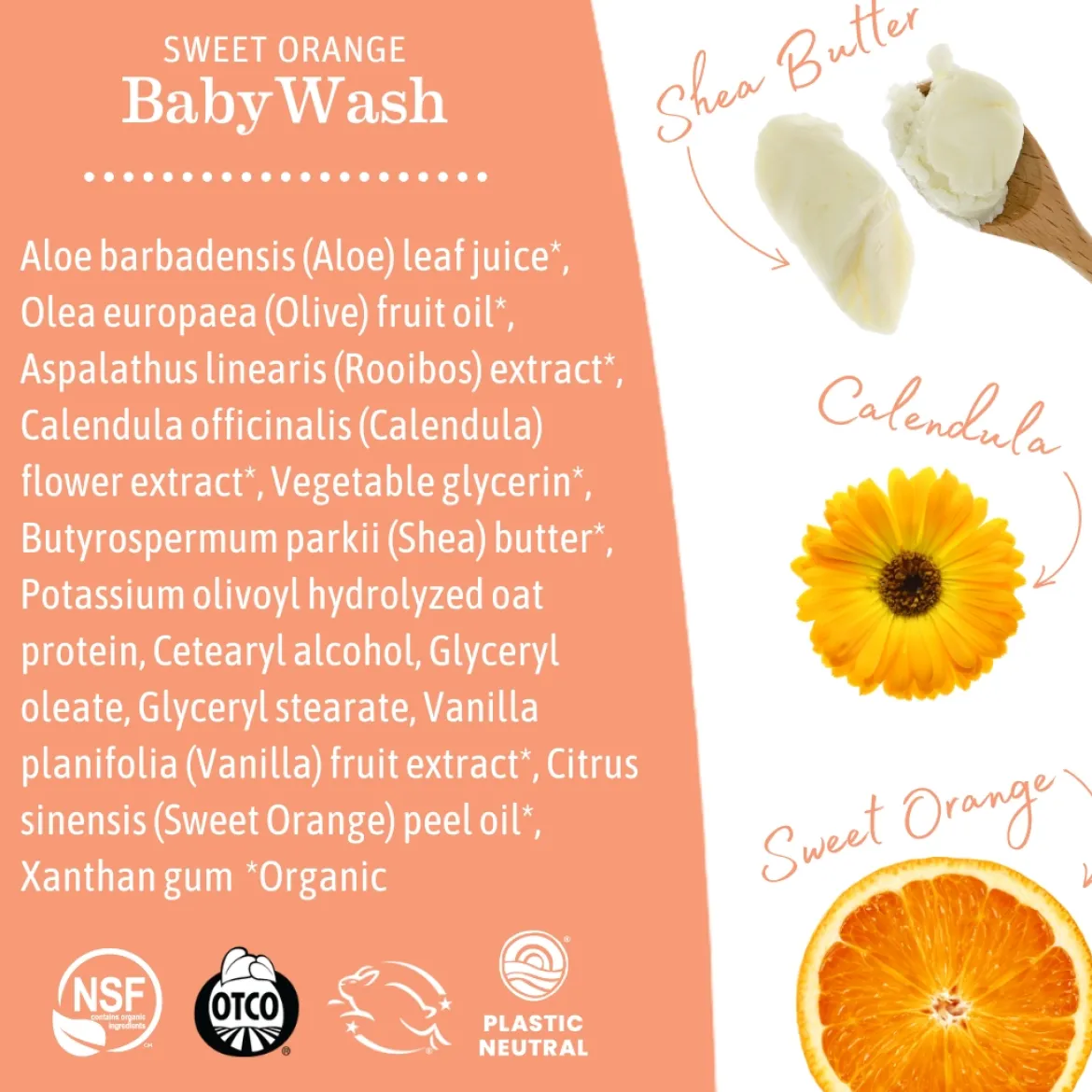 Baby Lotion