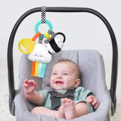 Bitzy Busy Ring Teething Activity Toy
