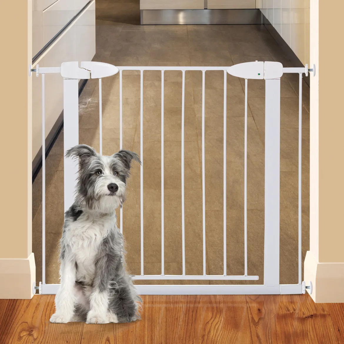Boston Magnetic Auto Close Security Gate