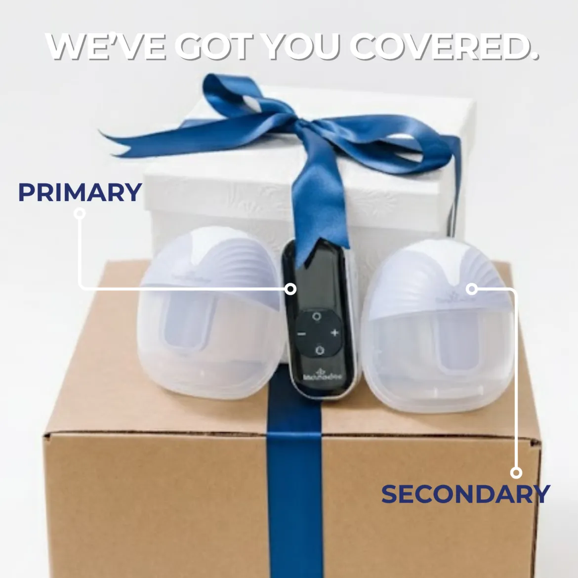 2.0 Breast Pump & Wearable Breast Pump Bundle