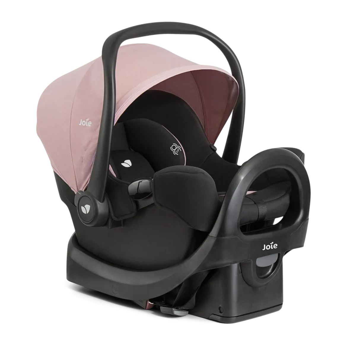 Caraway Whirl And Rue Travel System