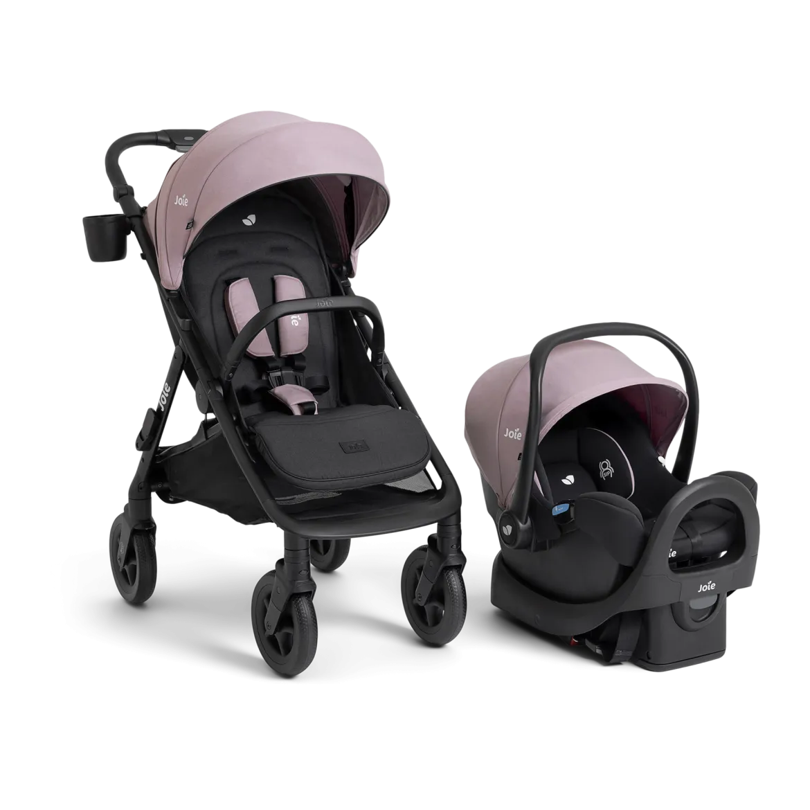 Caraway Whirl And Rue Travel System