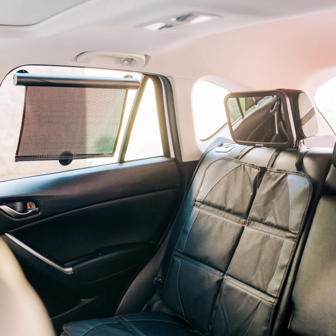 Car Essentials Kit