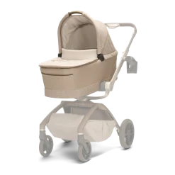 Carriage Accessory