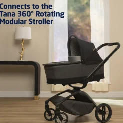 Carriage Accessory