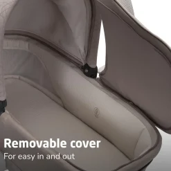 Carriage Accessory