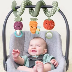 Car Seat Activity Toy
