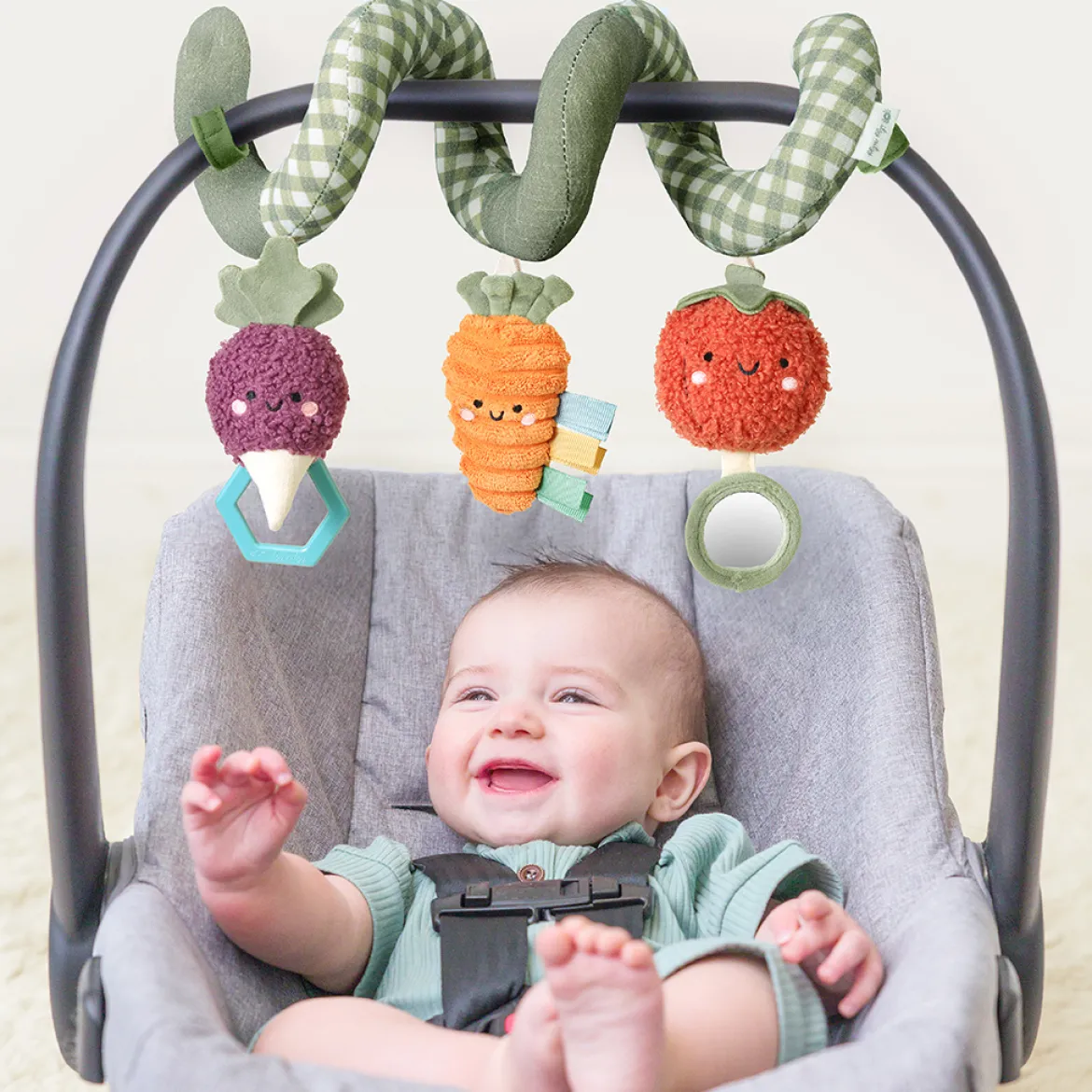 Car Seat Activity Toy