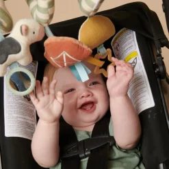 Car Seat Activity Toy