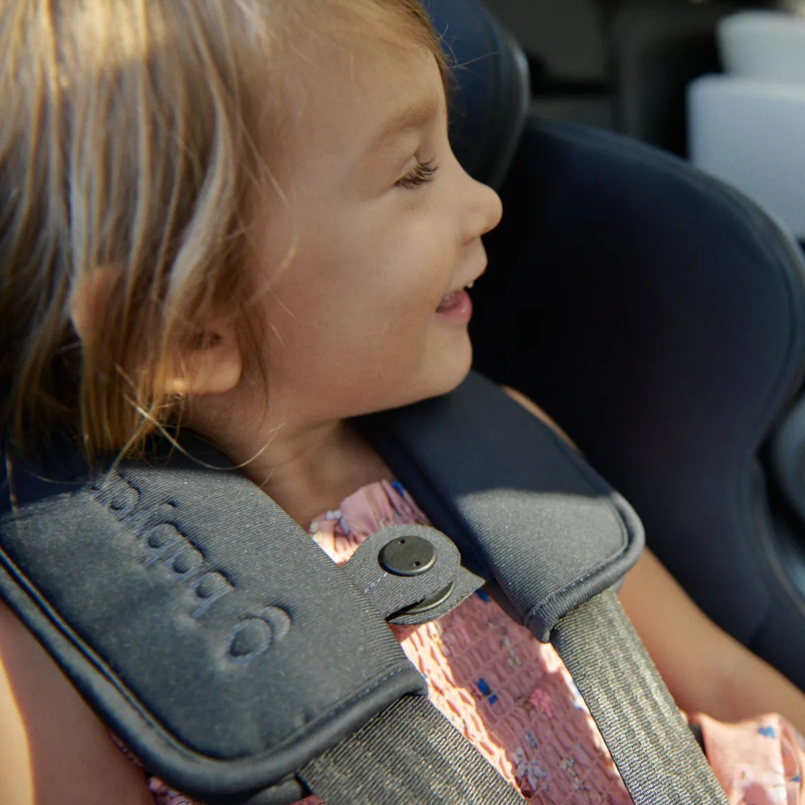 Car Seat Cover