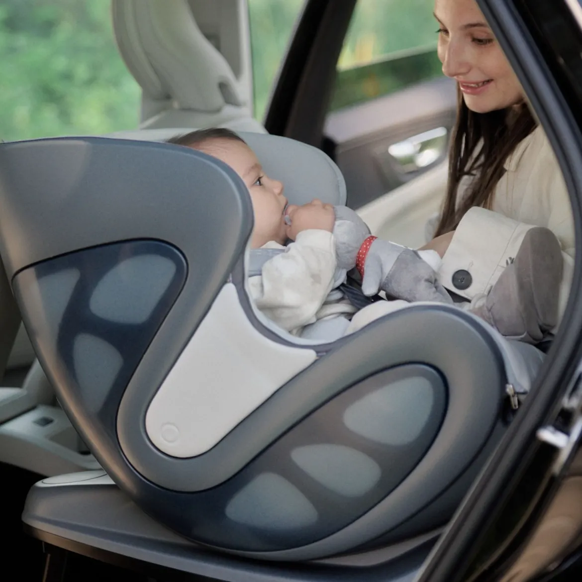 Car Seat Cover