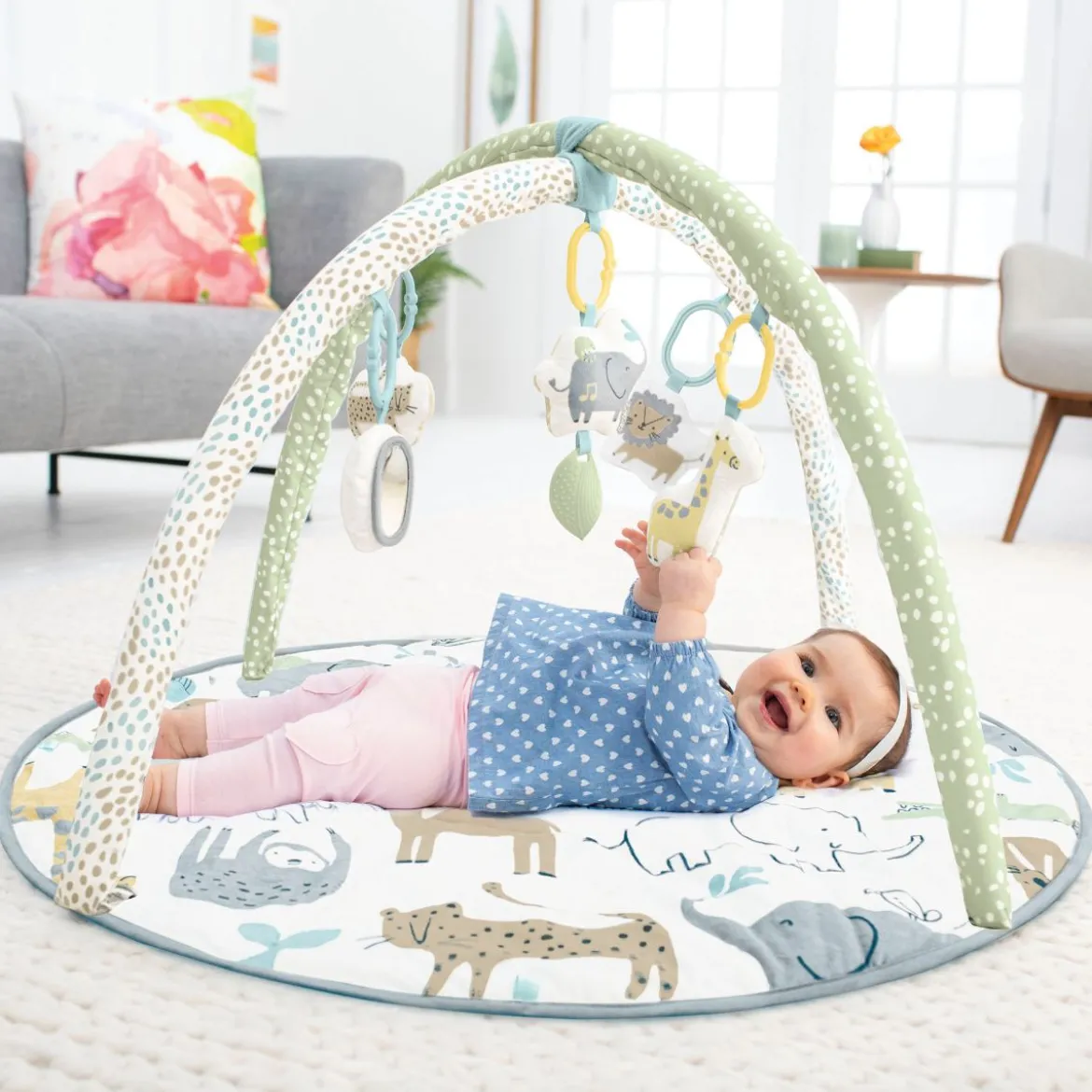 Carter's Activity Gym
