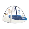 Celestial Dreams Activity Gym