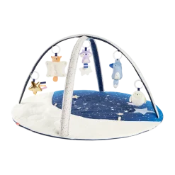 Celestial Dreams Activity Gym