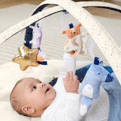 Celestial Dreams Activity Gym