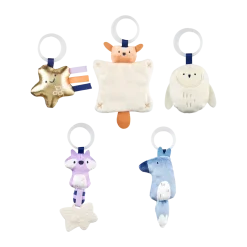 Celestial Dreams Activity Gym