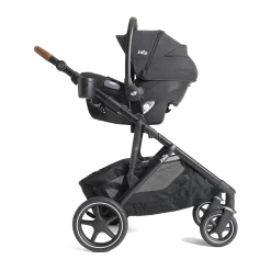 Chive And Mint Travel System