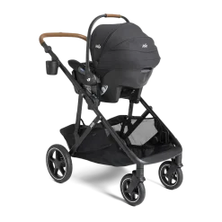 Chive And Mint Travel System