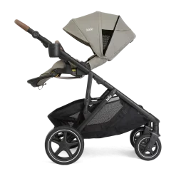 Chive Single to Double Stroller
