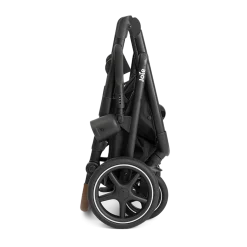 Chive Single to Double Stroller