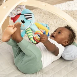 Clip & Go Stroller Toy