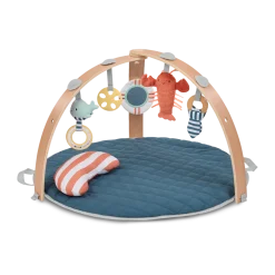 Cozy Spot Duvet Baby Activity Gym and Play Mat