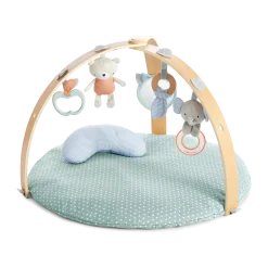 Cozy Spot Duvet Baby Activity Gym and Play Mat