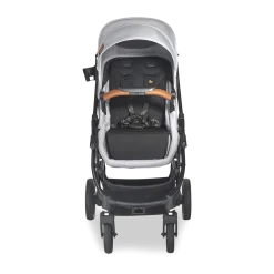 Crossover Stroller/Wagon