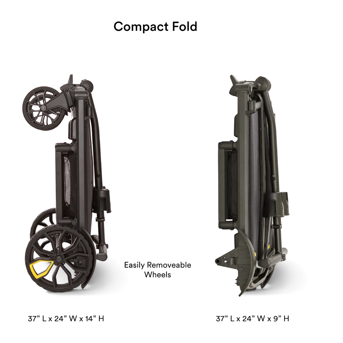 Cruiser City XL Essentials