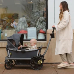 Cruiser Wagon Retractable Canopy