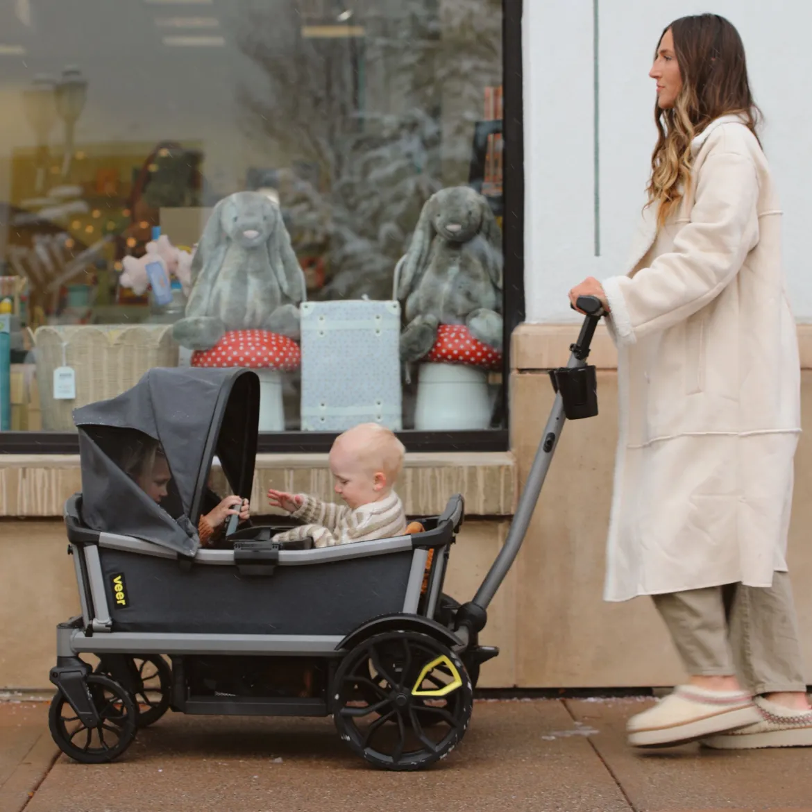 Cruiser Wagon Retractable Canopy