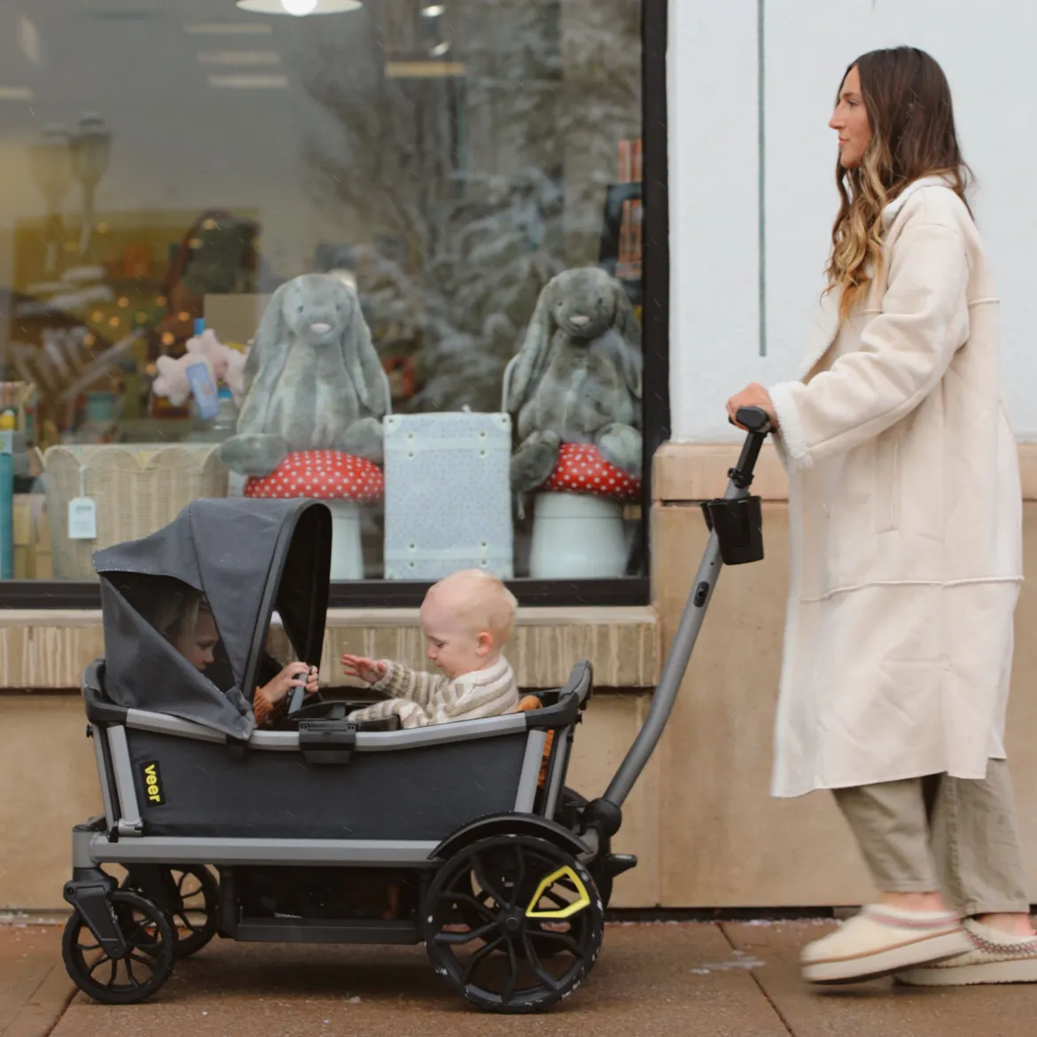 Cruiser Wagon Retractable Canopy