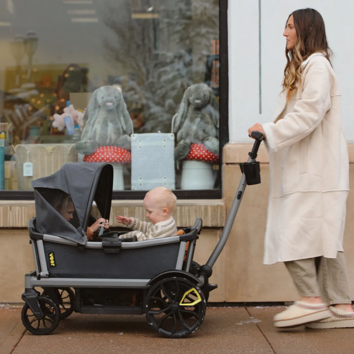 Cruiser Wagon Retractable Canopy