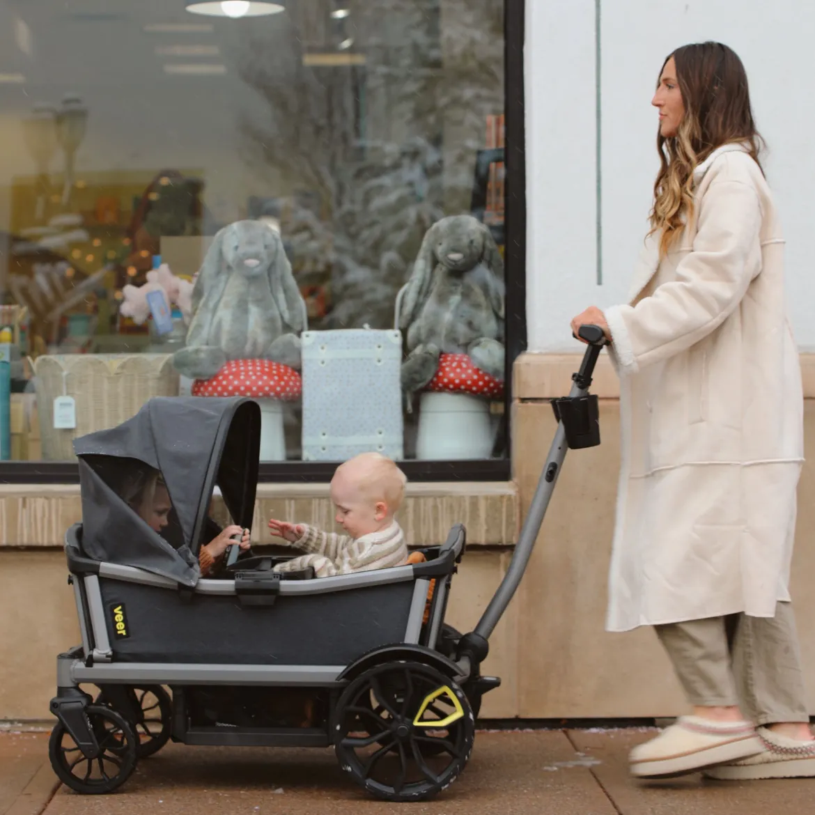 Cruiser Wagon Retractable Canopy
