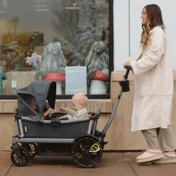 Cruiser Wagon Retractable Canopy XL