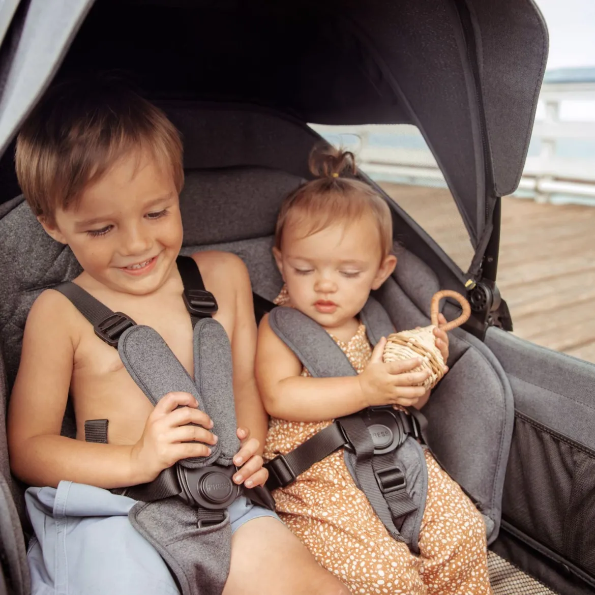 Cruiser Wagon Retractable Canopy XL