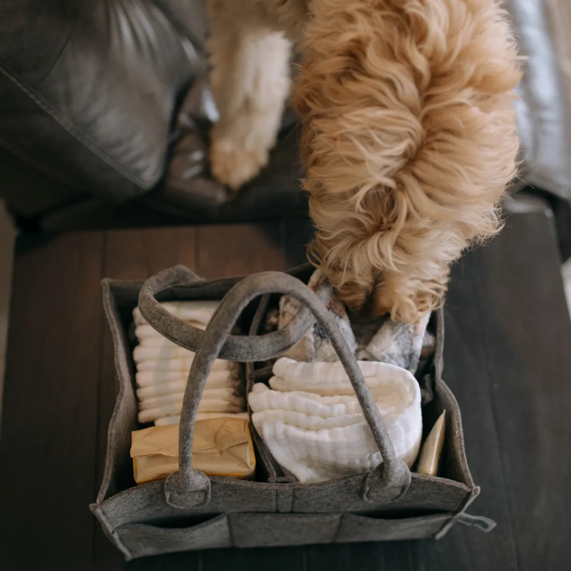 Diaper Caddy