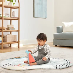 Discoverosity Montessori Activity Gym