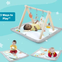 Disney Baby Winnie The Pooh Once Upon a Tummy Time Activity Gym