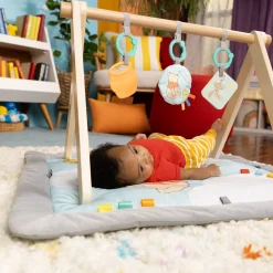 Disney Baby Winnie The Pooh Once Upon a Tummy Time Activity Gym