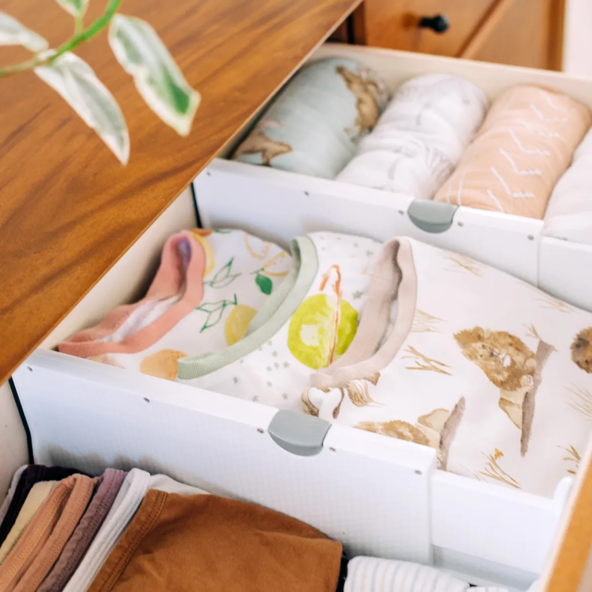 Drawer Dividers
